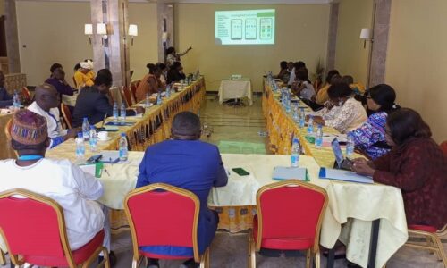 National Coordination Meeting On RMNCH Yaoundé, Cameroon – BornFyne